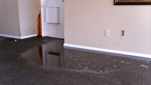 Water Damage Restoration Gold Coast